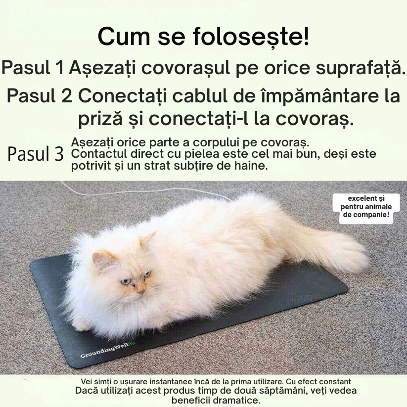 GroundingWell Covoraș de împământare